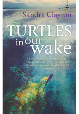 [Voyager 02] • Turtles in Our Wake