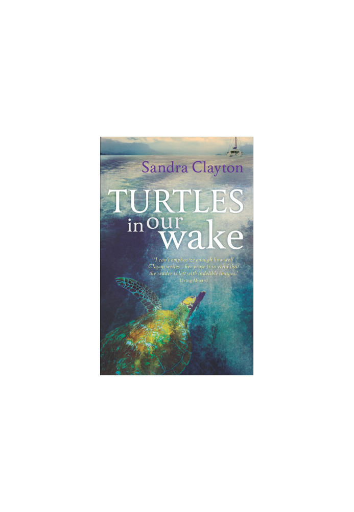 [Voyager 02] • Turtles in Our Wake