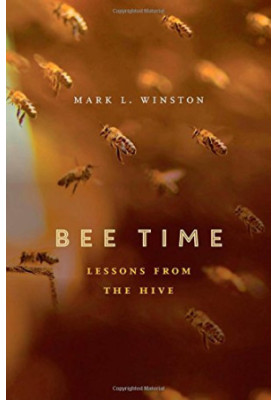 Bee Time: Lessons from the Hive