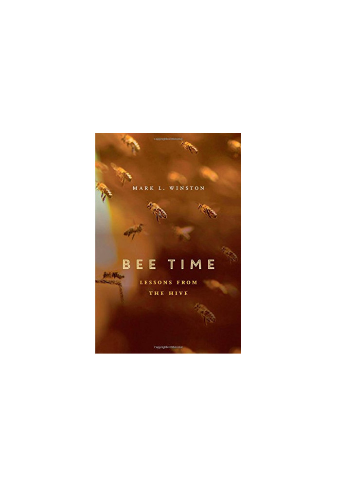 Bee Time: Lessons from the Hive