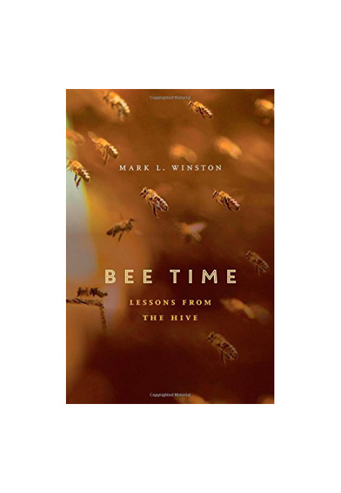 Bee Time: Lessons from the Hive