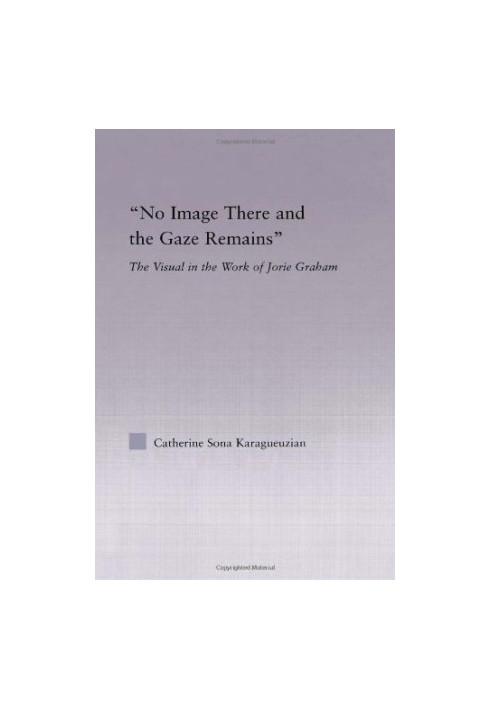 No image there and the gaze remains : the visual in the work of Jorie Graham