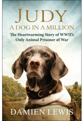 Judy: A Dog In A Million