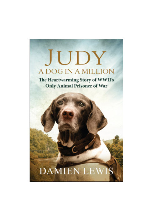 Judy: A Dog In A Million