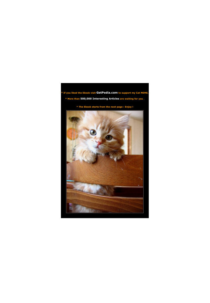 The Project Manager's Desk Reference