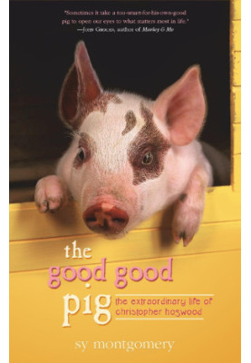 The Good Good Pig