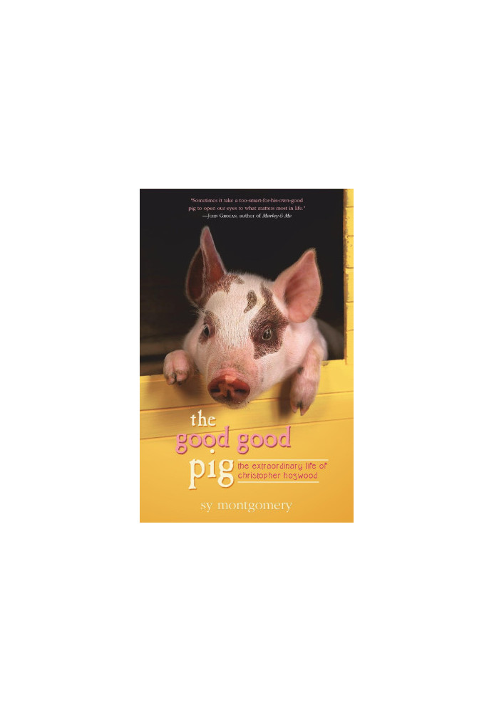 The Good Good Pig
