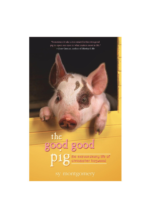 The Good Good Pig