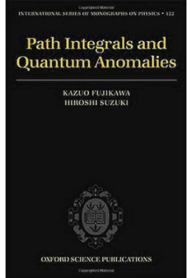 Path Integrals and Quantum Anomalies