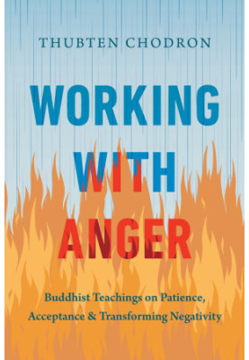 Working with Anger: Buddhist Teachings on Patience, Acceptance, and Transforming Negativity