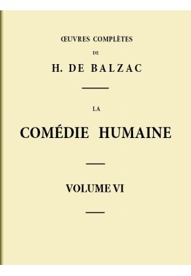 The Human Comedy - Volume 06. Scenes from provincial life - Volume 02