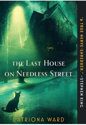 The Last House on Needless Street
