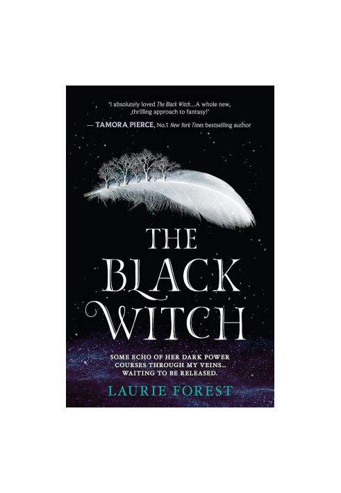 The Black Witch Chronicles 01: The Black Witch