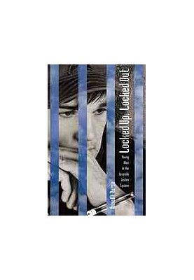 Locked up, locked out: young men in the juvenile justice system