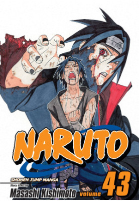 Naruto, Vol. 43: The Man With the Truth