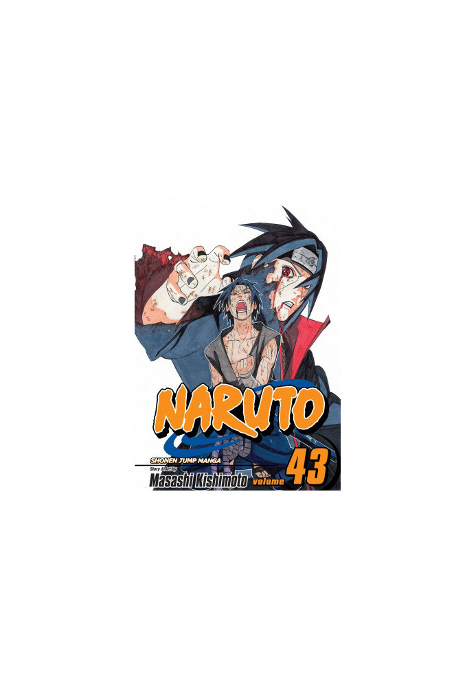Naruto, Vol. 43: The Man With the Truth