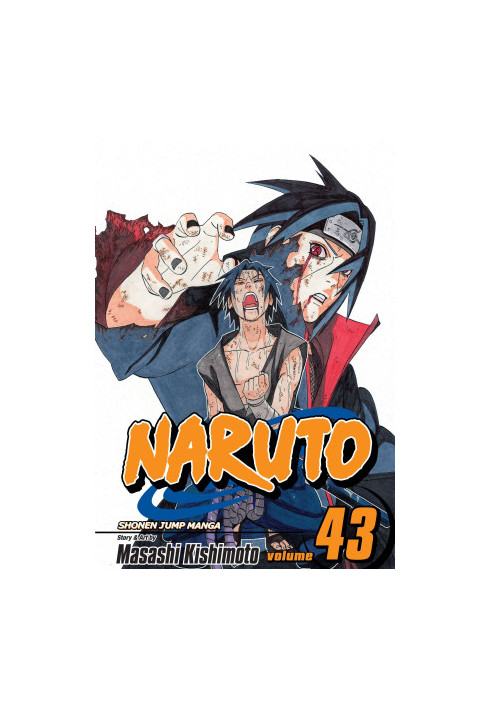 Naruto, Vol. 43: The Man With the Truth