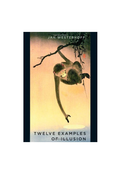 Twelve Examples of Illusion