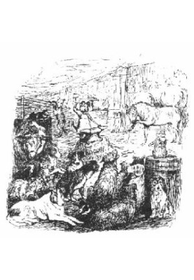 Complete Works of Beatrix Potter