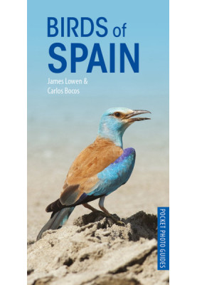 Birds of Spain