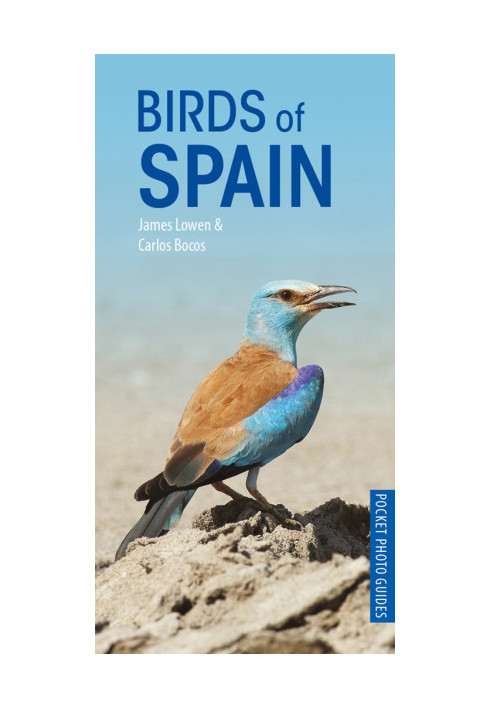 Birds of Spain