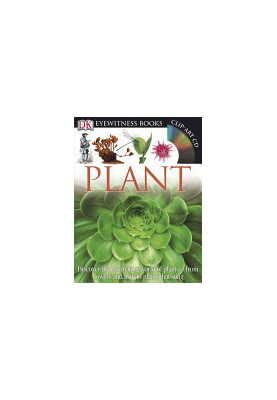 DK Eyewitness Books: Plant: Discover the Fascinating World of Plants from Flowers and Fruit to Plants That Sting