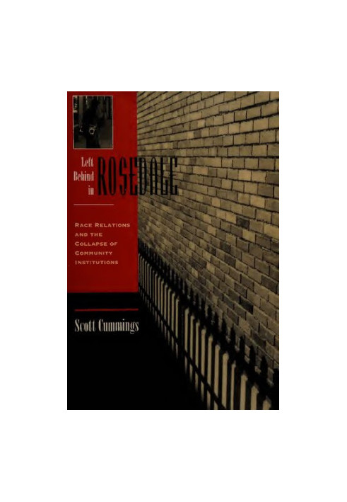 Left Behind In Rosedale: Race Relations And The Collapse Of Community Institutions