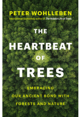 The Heartbeat of Trees: Embracing Our Ancient Bond with Forests and Nature
