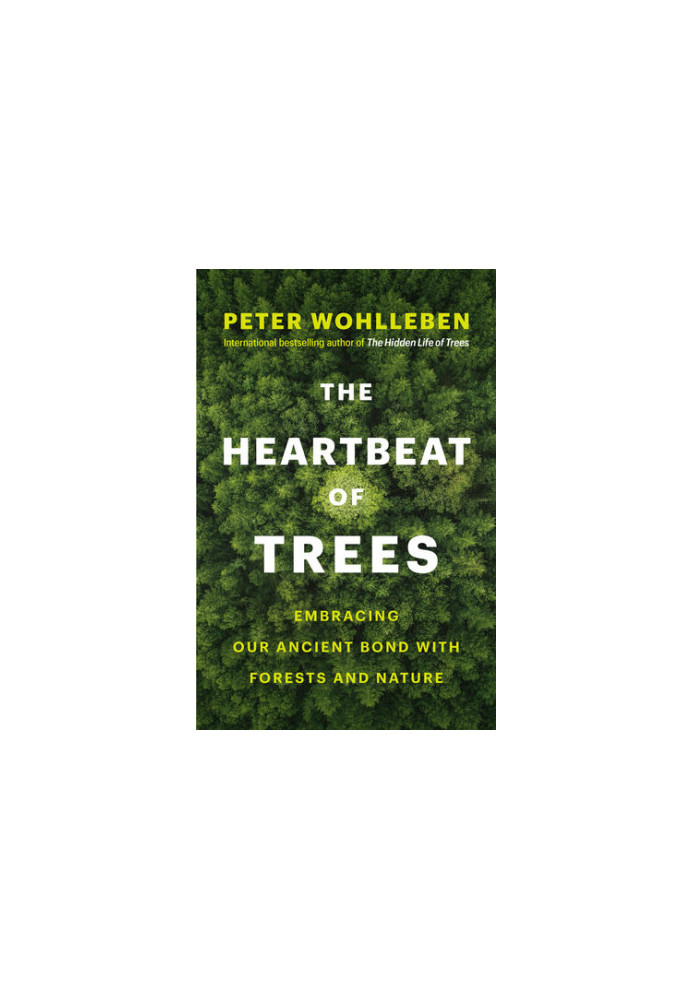 The Heartbeat of Trees: Embracing Our Ancient Bond with Forests and Nature