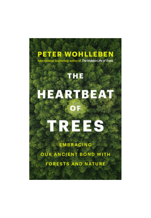 The Heartbeat of Trees: Embracing Our Ancient Bond with Forests and Nature