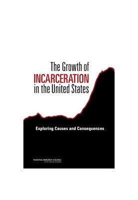 The Growth of Incarceration in the United States : Exploring Causes and Consequences