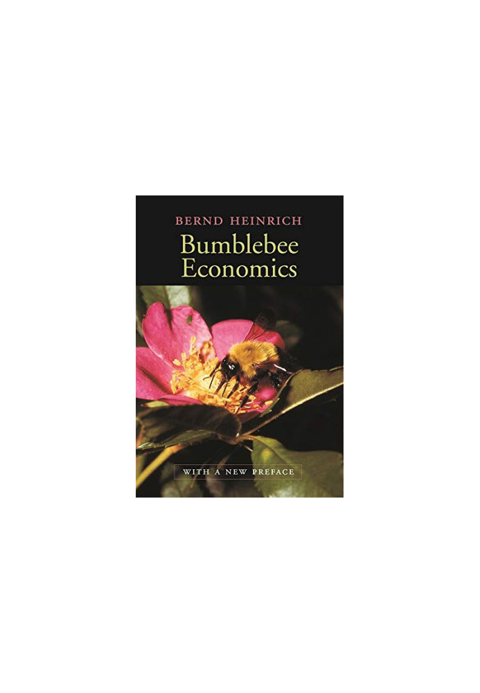 Bumblebee Economics