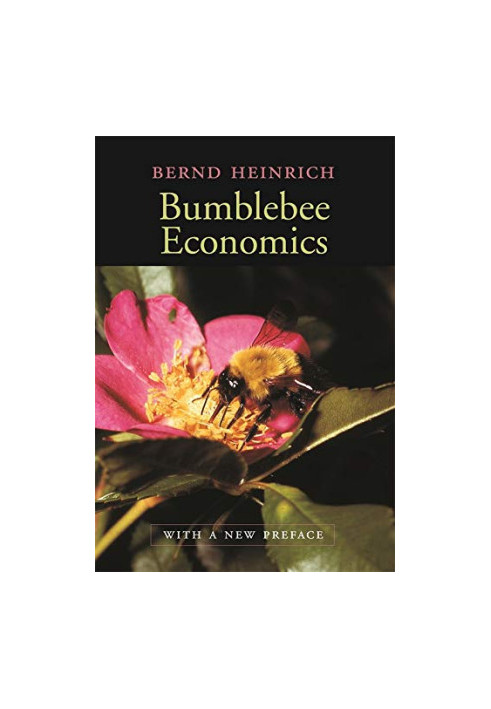 Bumblebee Economics