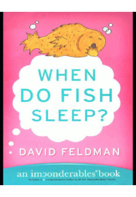 When Do Fish Sleep?