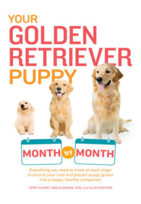 Your Golden Retriever Puppy Month by Month: Everything You Need to Know at Each Stage to Ensure Your Cute and Playful Puppy G