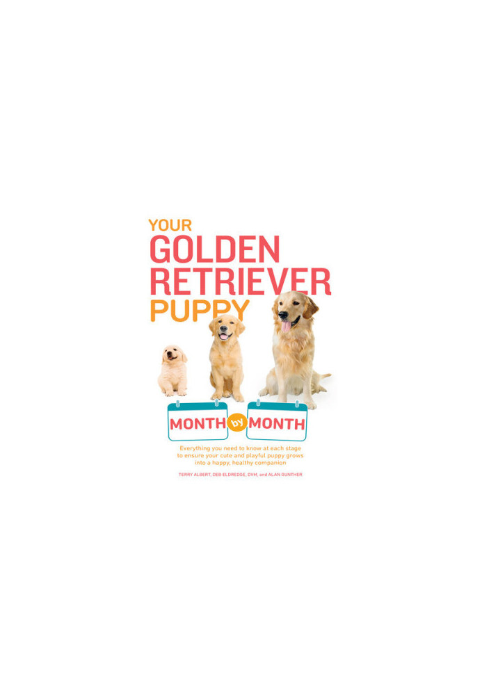 Your Golden Retriever Puppy Month by Month: Everything You Need to Know at Each Stage to Ensure Your Cute and Playful Puppy G