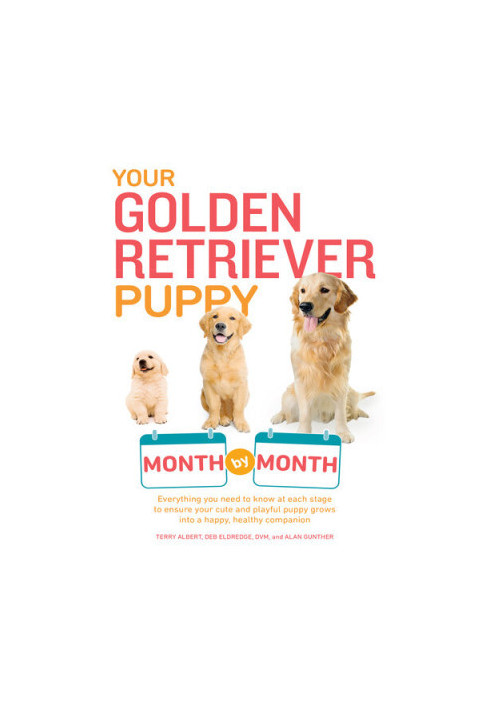 Your Golden Retriever Puppy Month by Month: Everything You Need to Know at Each Stage to Ensure Your Cute and Playful Puppy G