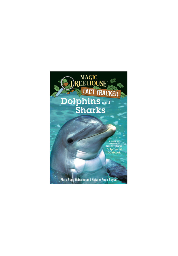 Dolphins and Sharks