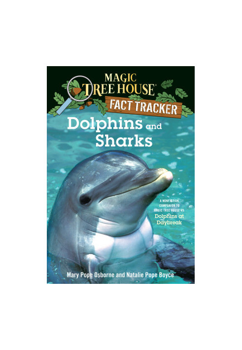Dolphins and Sharks