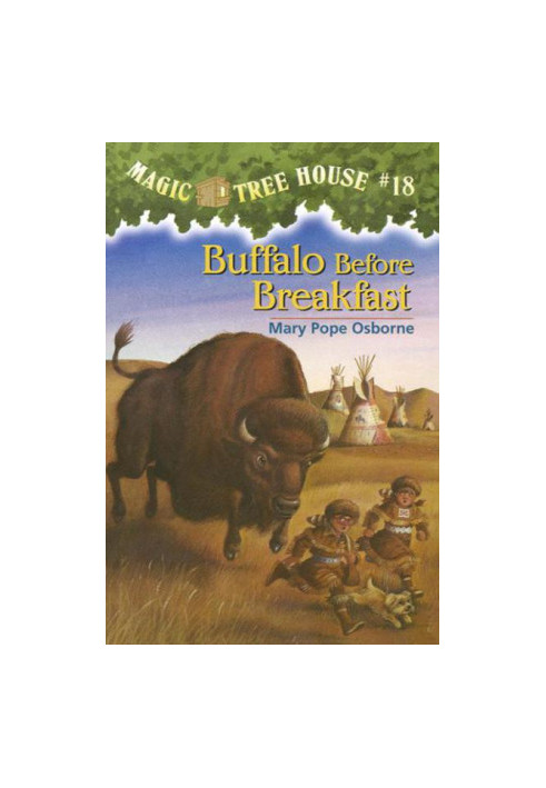 Buffalo Before Breakfast