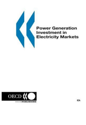 Power Generation Investment in Electricity Markets (Energy Market Reform)