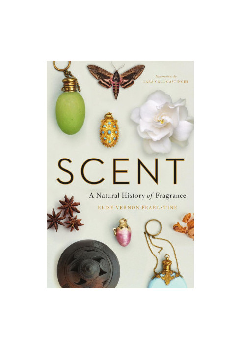 Scent : A Natural History of Fragrance