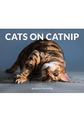 Cats on Catnip