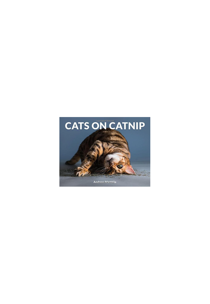 Cats on Catnip