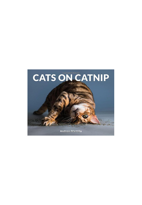 Cats on Catnip