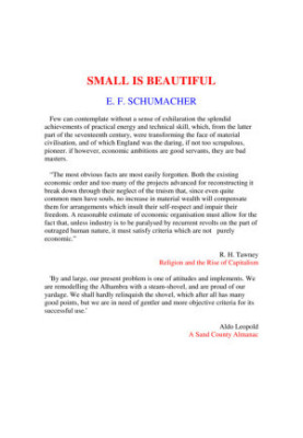 Small Is Beautiful: Economics as if People Mattered
