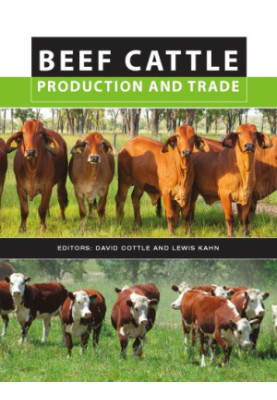 Beef Cattle Production and Trade