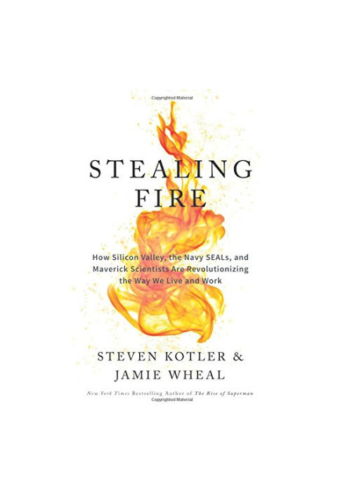 Stealing Fire: How Silicon Valley, the Navy SEALs, and Maverick Scientists Are Revolutionizing the Way We Live and Work