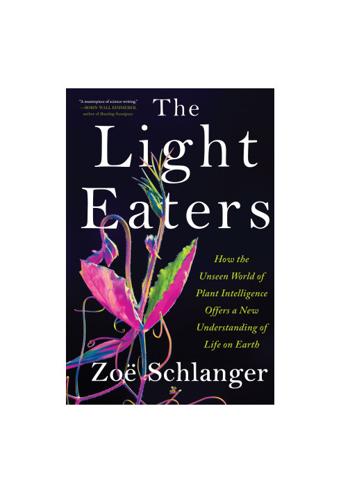 The Light Eaters