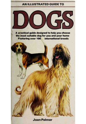 An Illustrated Guide to Dogs: A Practical Guide